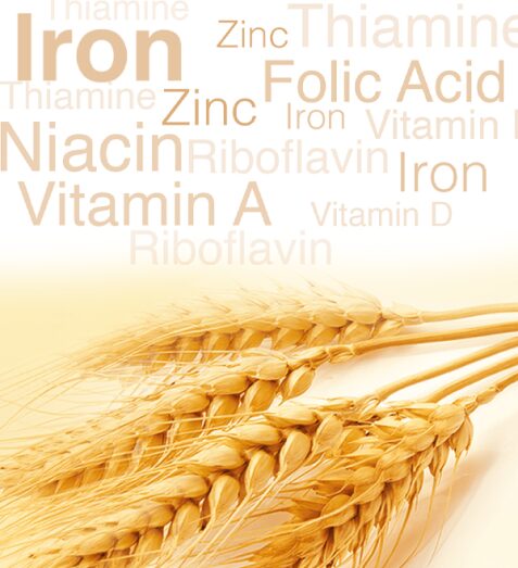 Flour & Maize Products Fortification