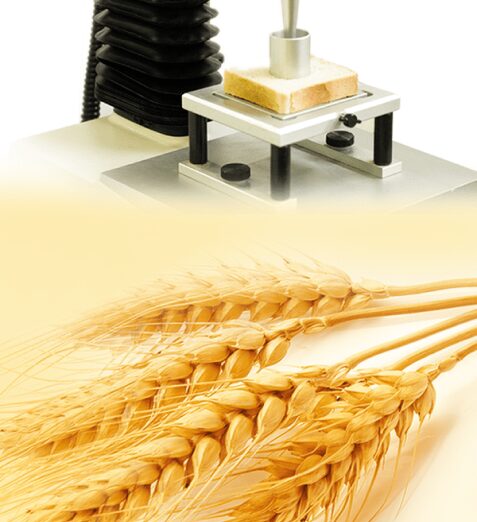 Shelf Life Improvers